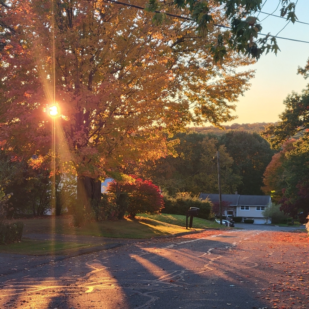 Meet your Posher, Melanie